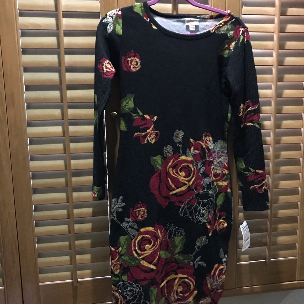 NWT Lularoe Debbie XS